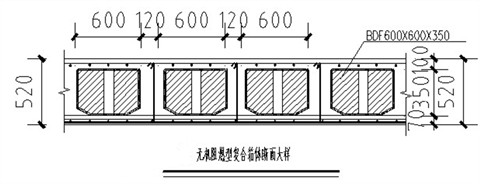 空心樓蓋應(yīng)用剖面圖